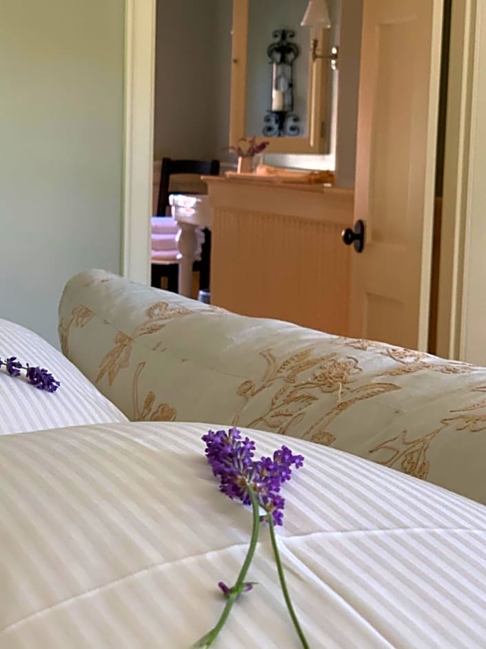 The Pebble Bed and Breakfast