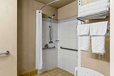 1 King Bed, Mobility Accessible, Roll In Shower, Non-Smoking, Full Breakfast