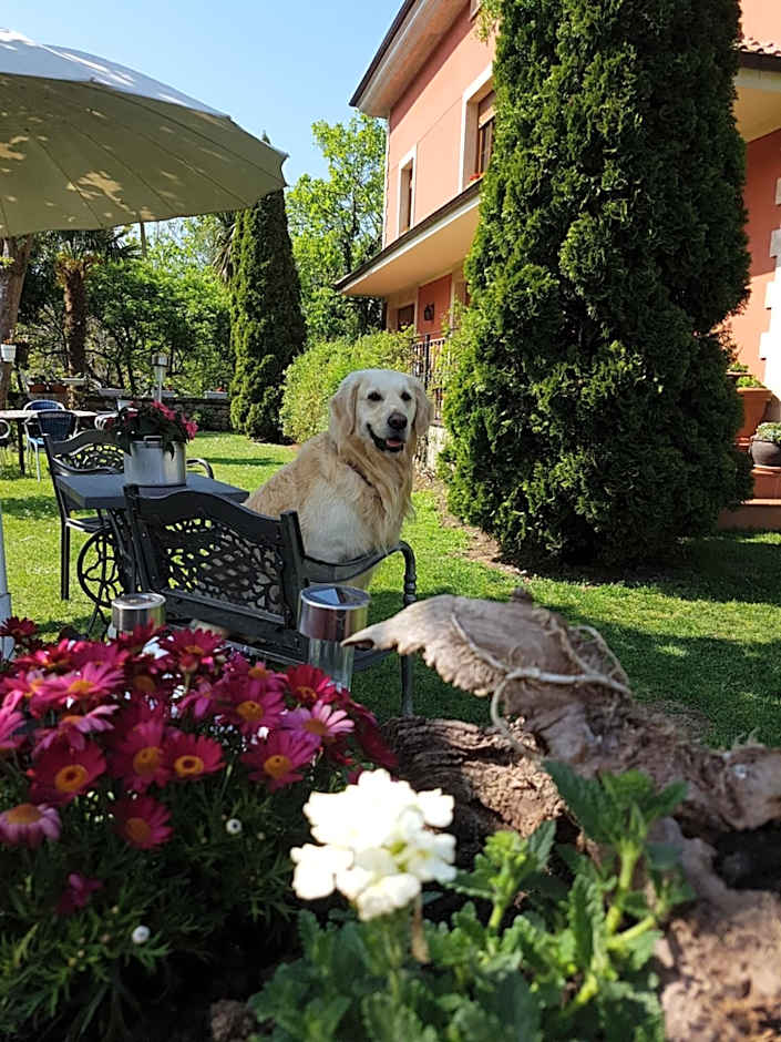 Hotel Rural El Torrejon