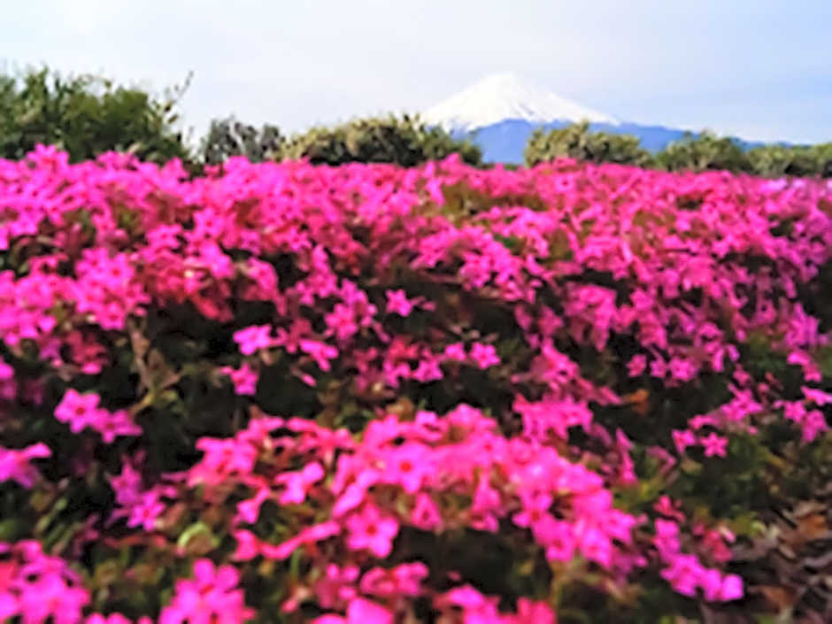 Shoji Mount Hotel - Vacation STAY 83000v