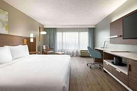King Room with Roll-In Shower - Mobility Access/Non-Smoking