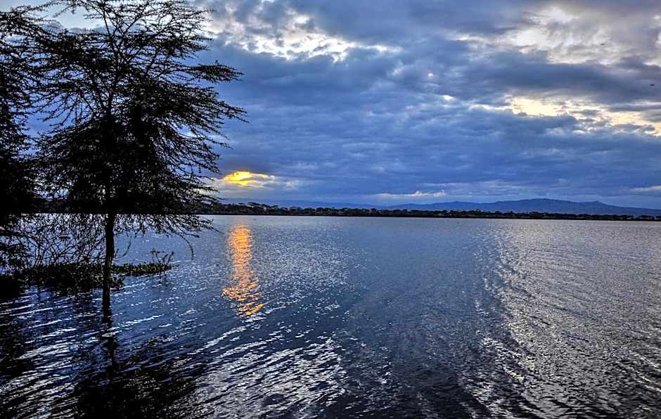 Muthu Lake Naivasha Country Club, Naivasha