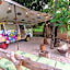 Latica Lodge