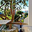 Villa Olivia Residence Ischia - nel Verde con Piscine e Vista Mare