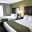 Comfort Suites West Indianapolis - Brownsburg