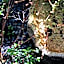 YADORU KYOTO HANARE Mizunoe No Yado