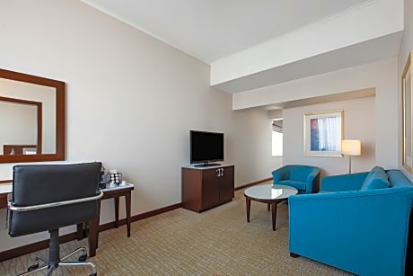 Suite-1 Bedroom-City View