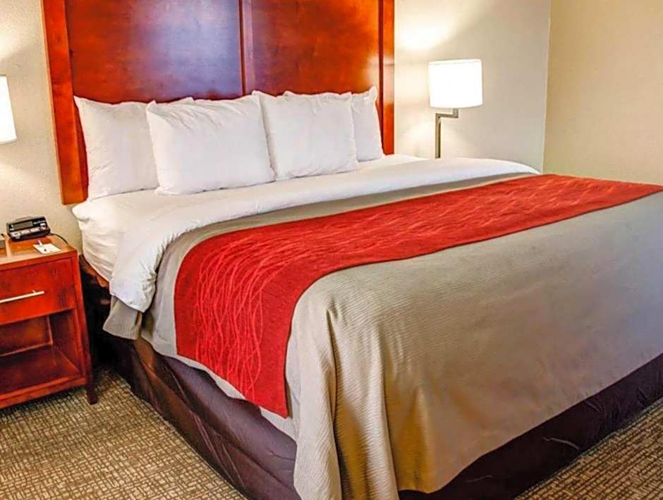 Comfort Inn Bessemer Birmingham South