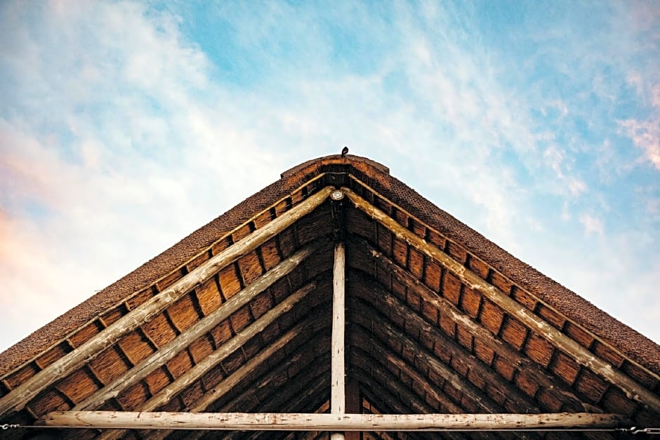 Bukela Game Lodge - Amakhala Game Reserve