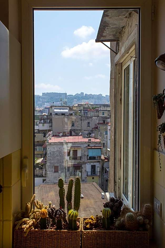 Cerasiello