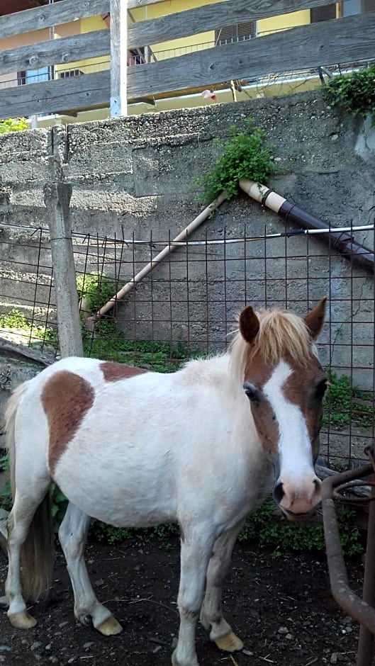 Bed & Breakfast Varionda