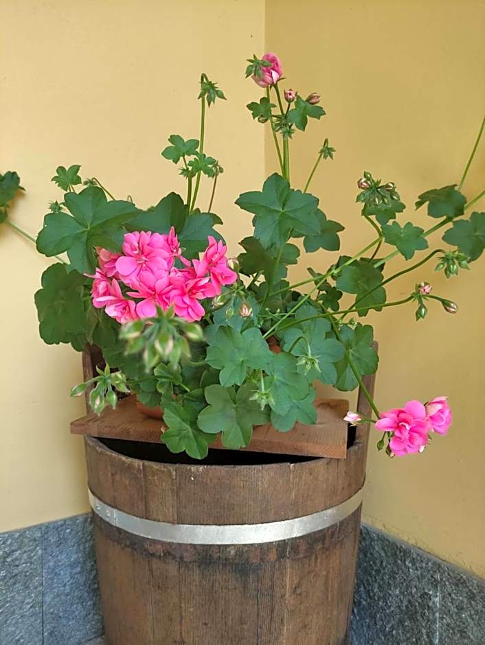Bed&Breakfast Villa Camilla – Ivrea, NY