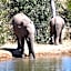 MILIMA Big 5 Safari Lodge