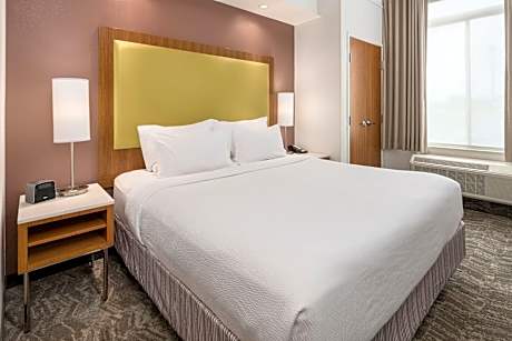 Studio, 1 King Bed with Sofa bed (1 King Bed and 1 Double Sofa Bed)