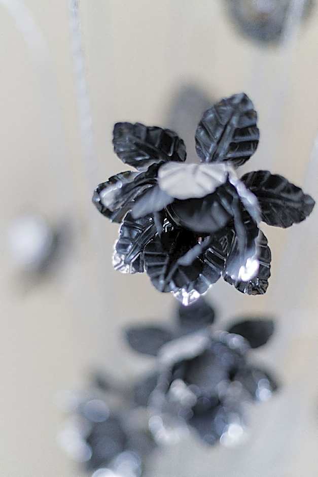 Calvin House Apartments