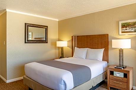 Standard Queen Room-Motel Section