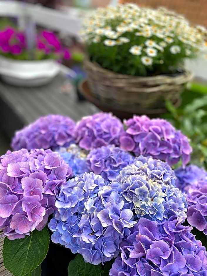 Bed & Breakfast Moments