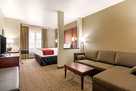 1 King Bed, Suite, Nonsmoking, Accessible