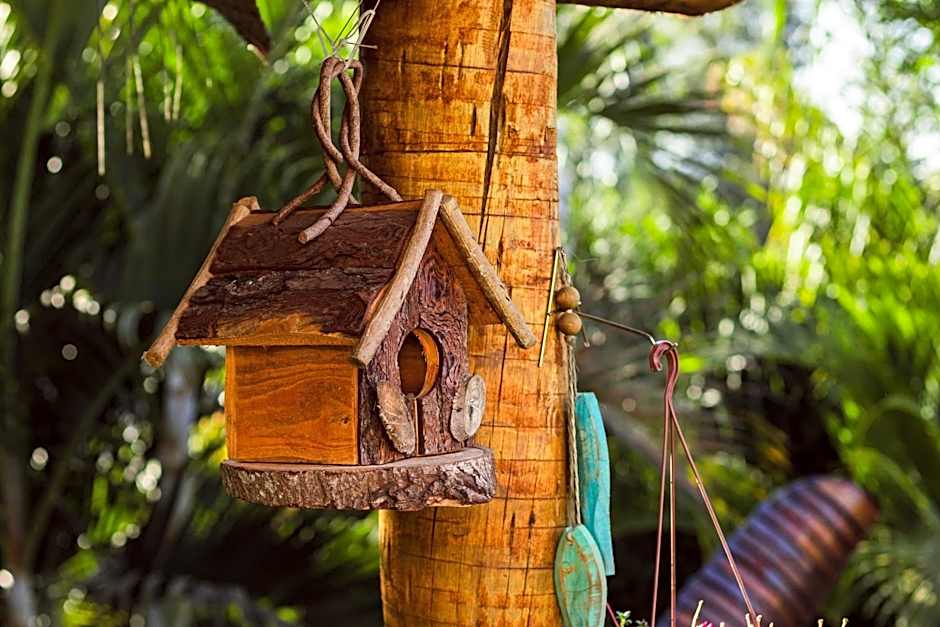 Pousada Viver Capitólio