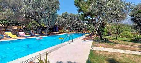 Bahar Bahce Datca