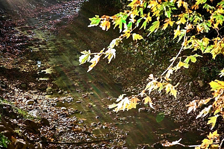 Oniropetra Boutique Hotel