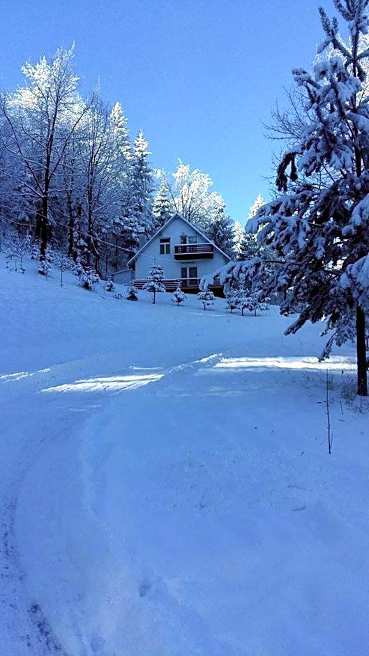 Șoaptele pădurii & Căsuța din pădure