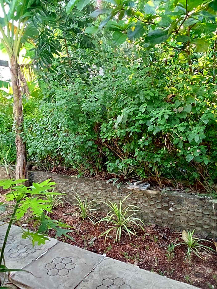 Bayawan Sunset Inn next to julsam and orange house