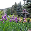 Lake View Lodge