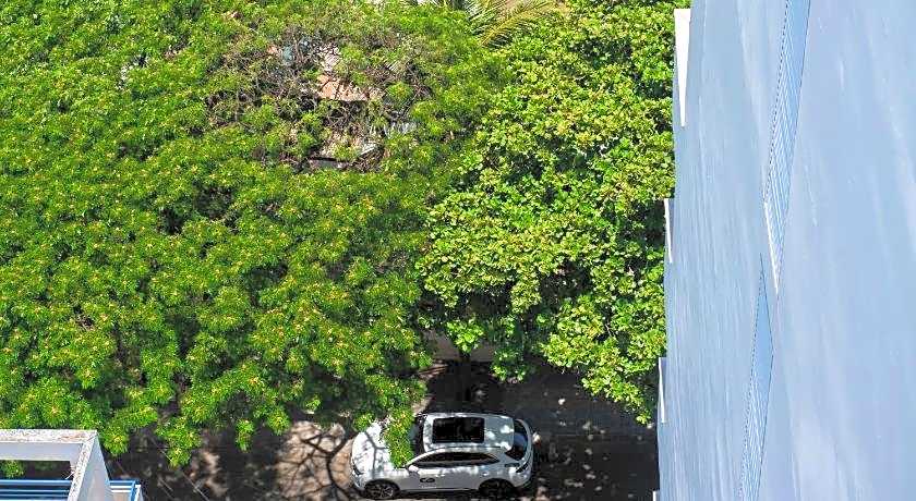 Seven Seas Hotel and Apartment