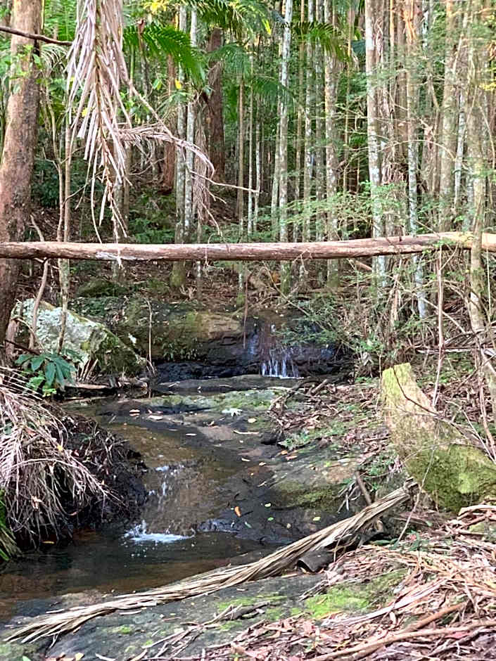 Montville Country Cabins