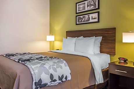 1 Queen Bed, Nonsmoking