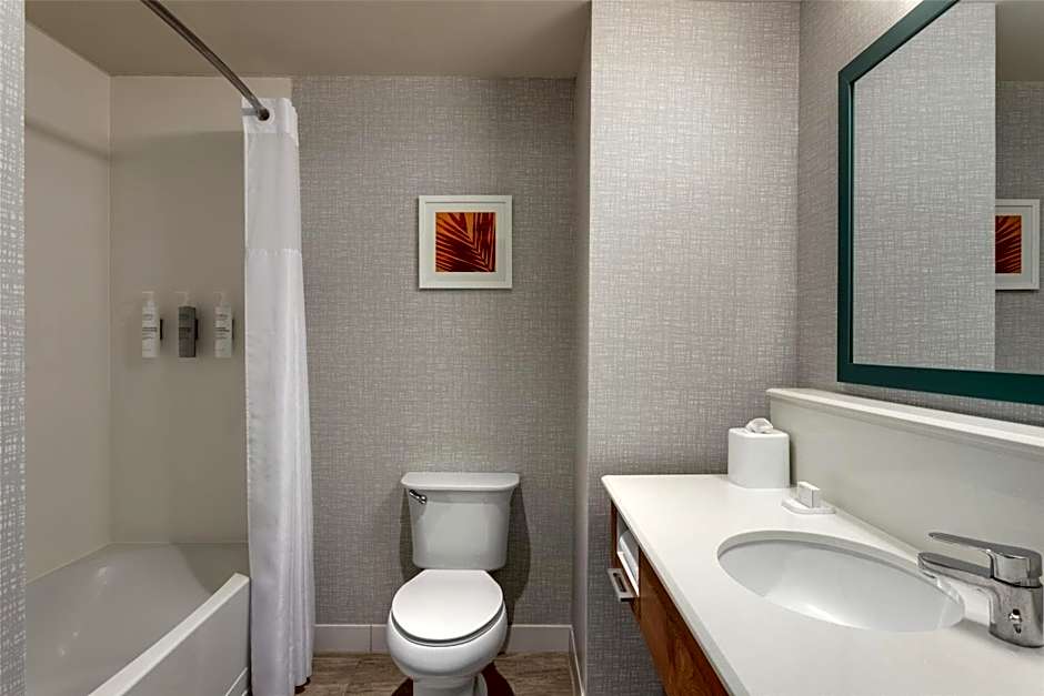 Hampton Inn - Suites by Hilton Tampa Busch Gardens Area