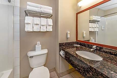 1 King Bed, Suite, Nonsmoking