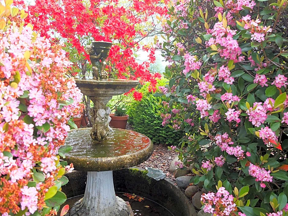 Colonial Court Motel