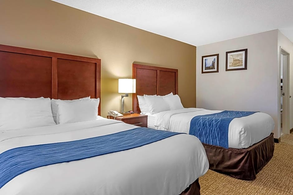 Comfort Inn Downtown - University Area