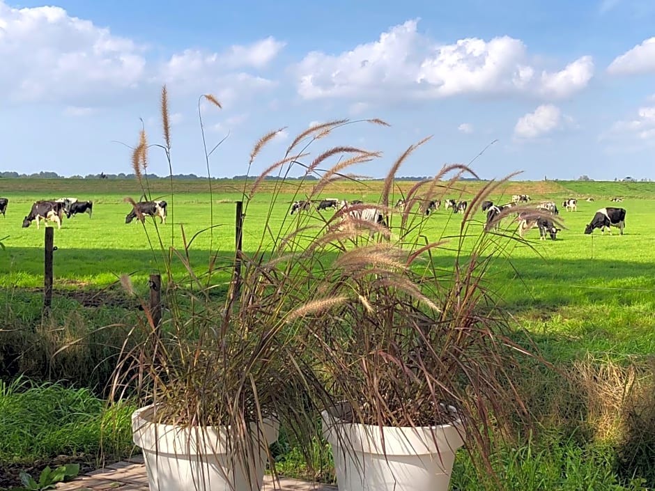 Het Leeuwterveld