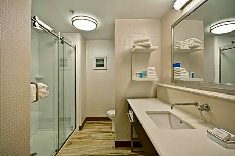 King Room with Sofa Bed - Hearing Accessible/Non-Smoking