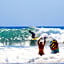Cabo Surf Hotel
