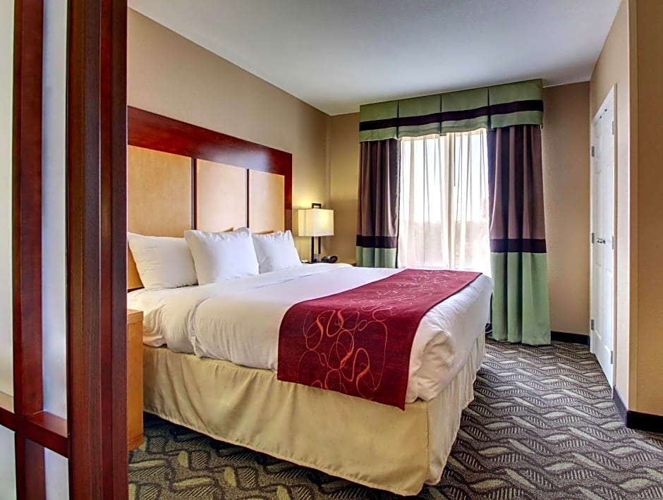 Comfort Suites Flowood - Jackson Airport (must meet transportation requirement)