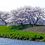 Toyoko Inn Shiki-eki Higashi-guchi
