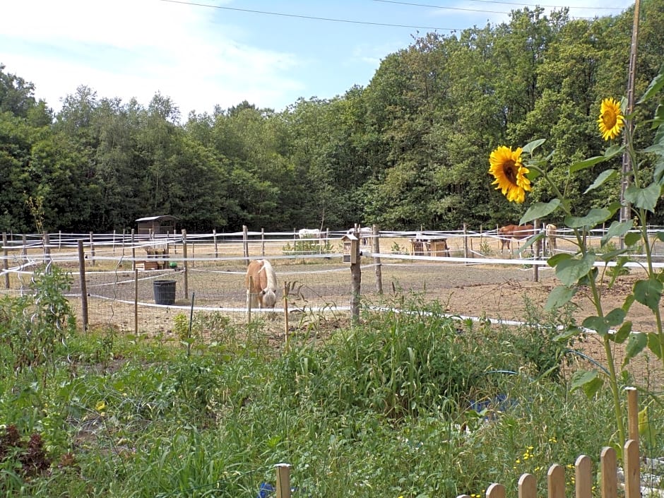 Les chambres du Vau Profond