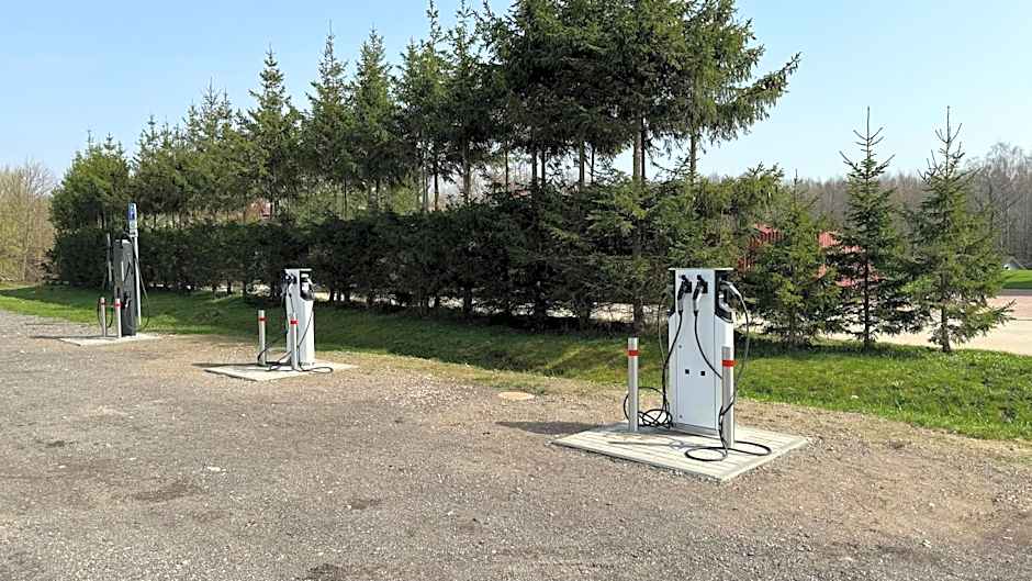 AKIS namelis medyje- Dinosaur Park