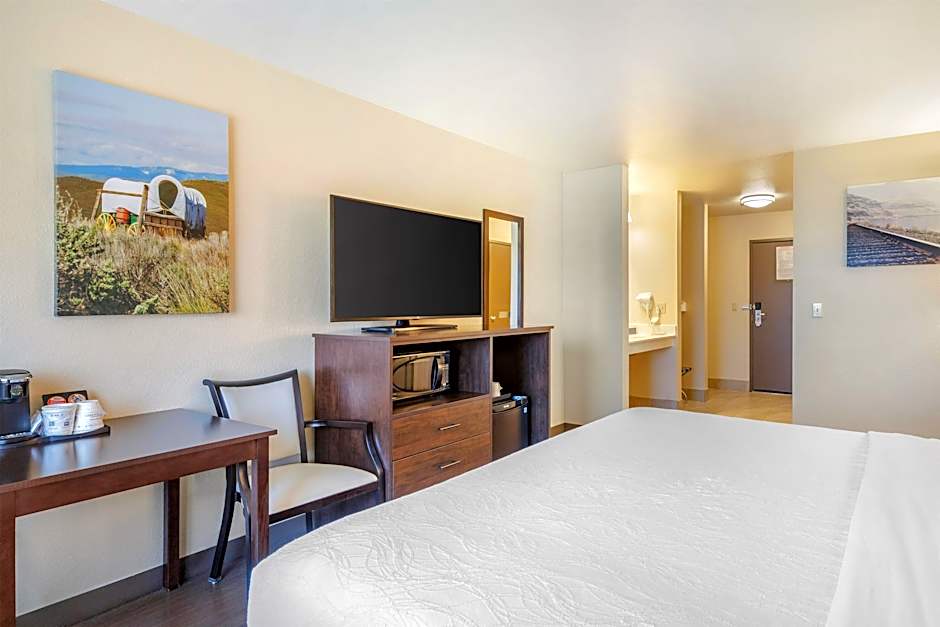 Photo 1 of 9 of 1 King Bed, Mobility Accessible, Roll in Shower, Pet-Friendly
