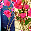 Follow the Sun Boutique Hostel - Pool, Breakfast & Sea Views