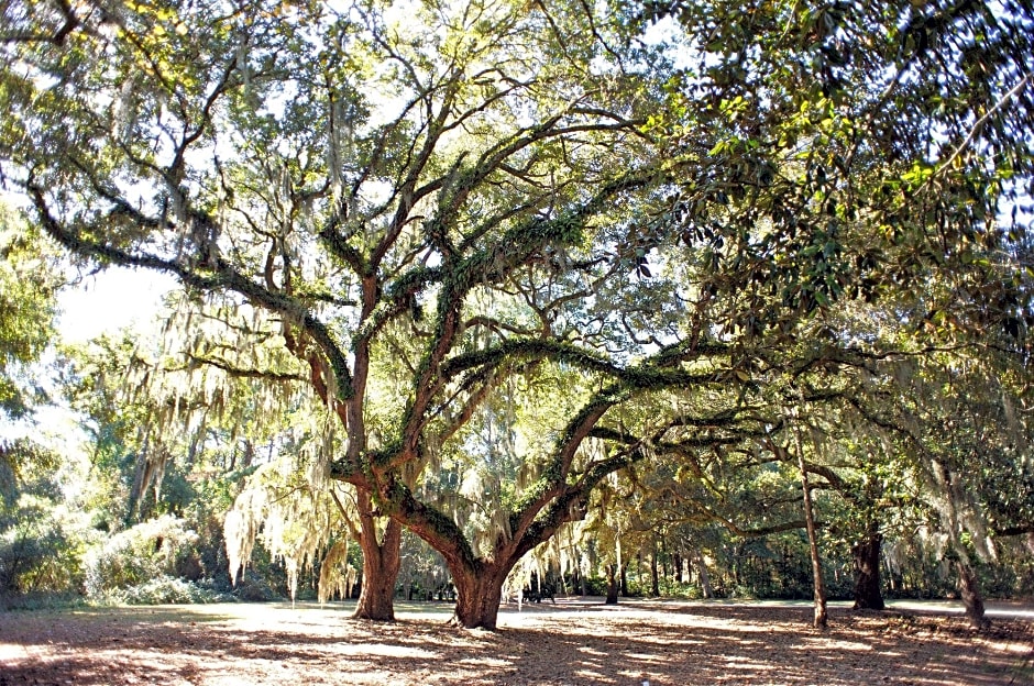 Pawleys Plantation Golf & Country Club