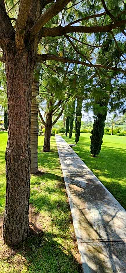 Hacienda Santa Ireme