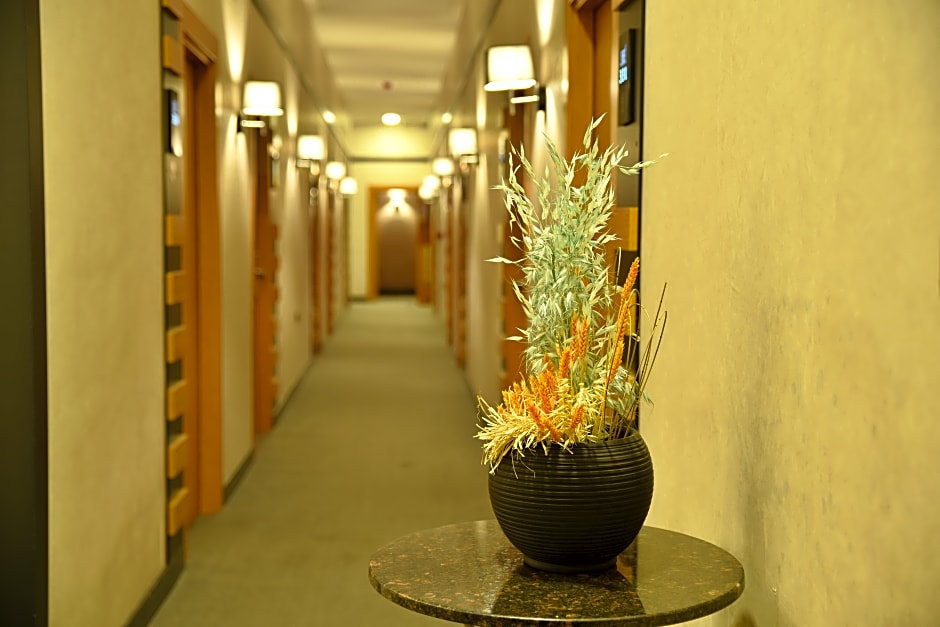 Roof 264 Hotel And Suites