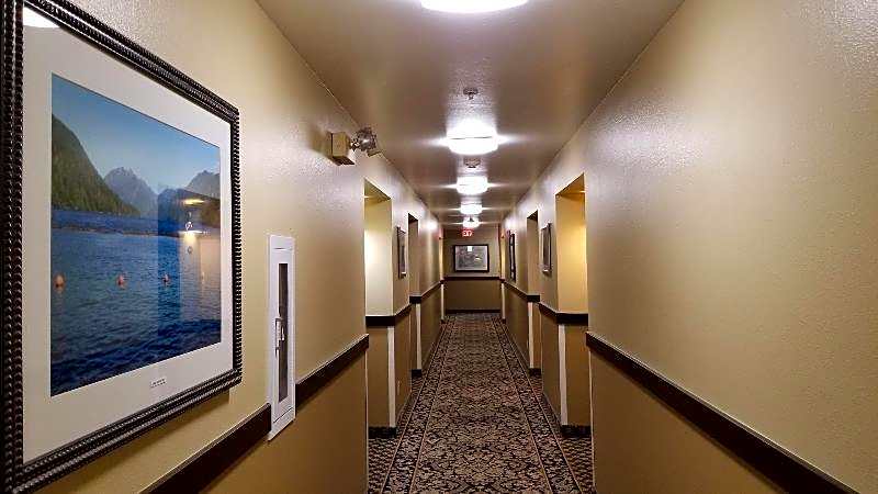 The Dew Drop Inn Motel