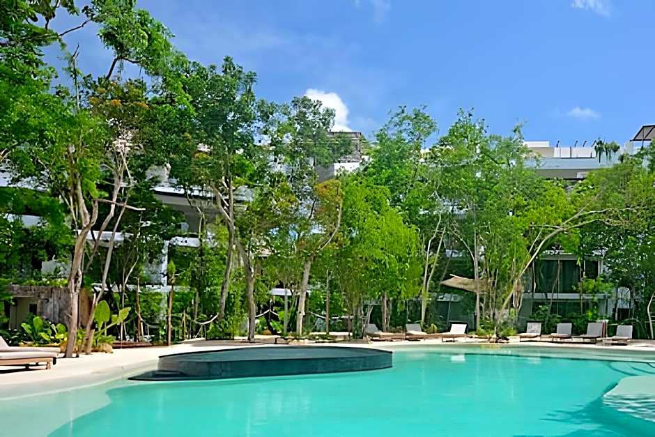 Oasis Yaaxlum