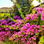B&B Villa la Bouganville